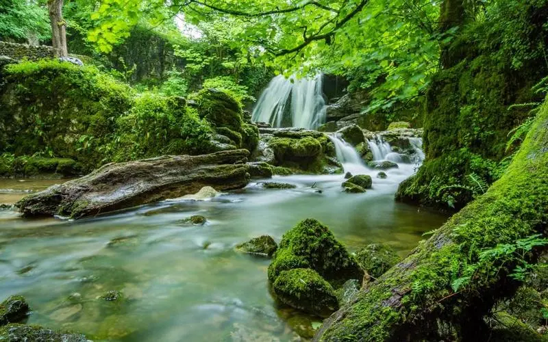 绿色稳定性高标准